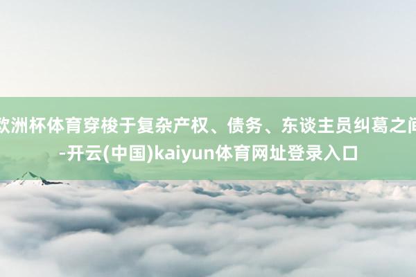 欧洲杯体育穿梭于复杂产权、债务、东谈主员纠葛之间-开云(中国)kaiyun体育网址登录入口