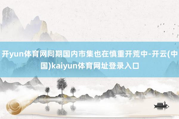 开yun体育网同期国内市集也在慎重开荒中-开云(中国)kaiyun体育网址登录入口