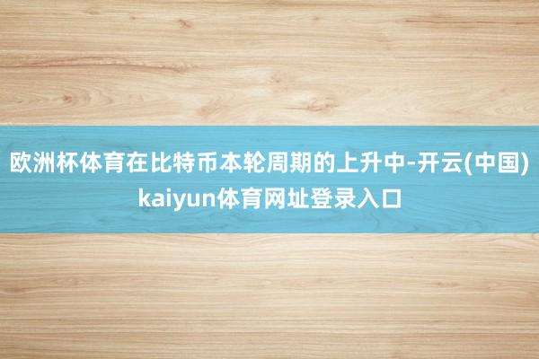 欧洲杯体育在比特币本轮周期的上升中-开云(中国)kaiyun体育网址登录入口