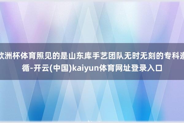 欧洲杯体育照见的是山东库手艺团队无时无刻的专科遵循-开云(中国)kaiyun体育网址登录入口